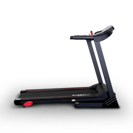 Беговая дорожка Everyfit 74305B