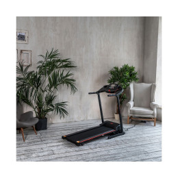 Беговая дорожка DFC Vita Pro T400