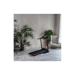 Беговая дорожка DFC Vita Pro T400