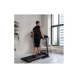 Беговая дорожка DFC Vita Pro T400