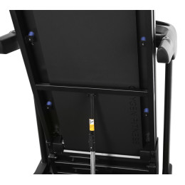 Беговая дорожка Oxygen Fitness New classic Aurum AC TFT