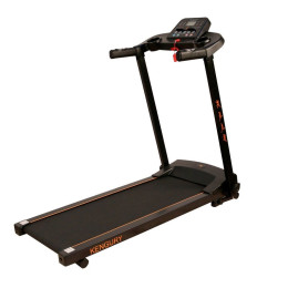 Беговая дорожка DFC Kengury T122B черный\оранжевый