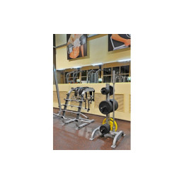 Стойка под олимпийские диски Foreman FR-816