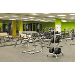 Стойка под олимпийские диски Foreman FR-816