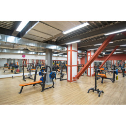 Стойка под олимпийские диски Foreman FR-816