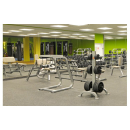 Стойка под олимпийские диски Foreman FR-816