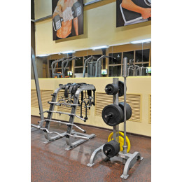 Стойка под олимпийские диски Foreman FR-816