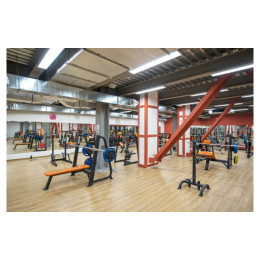 Стойка под олимпийские диски Foreman FR-816