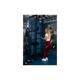 Спортивный комплекс Flexter Крафт SystemLight