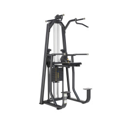 Турник, брусья с противовесом (Dip/Chin Assist) DHZ E-1009В