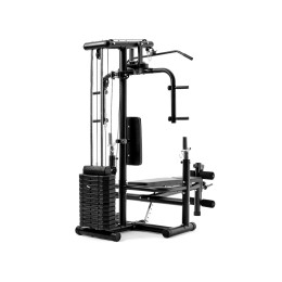 Силовой комплекс DFC Homegym D854