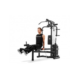 Силовой комплекс DFC Homegym D854