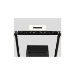 Беговая дорожка Svensson Body Labs Spacetech amberlight