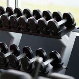 Подставка под гантели на 10 пар в 2 ряда Precor DBR812