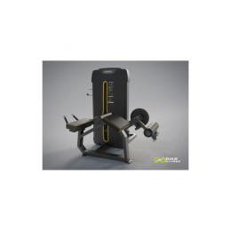 Сгибание ног лежа (Prone Leg Cur) DHZ E-4001A