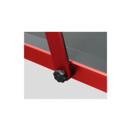 Беговая дорожка Svensson Body Labs Spacetech crimson glory