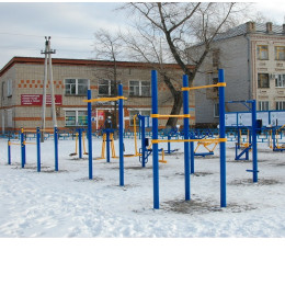 Брусья стационарные (с хомутами) Hercules W-2.9 3460