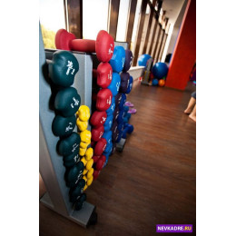 Стойка для гантелей Aerofit A067