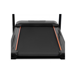 Беговая дорожка Carbon Fitness T306