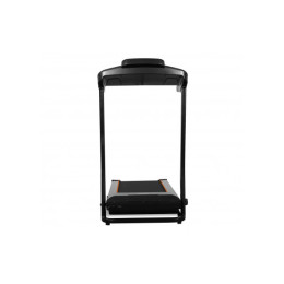 Беговая дорожка Carbon Fitness T306