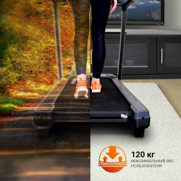 Беговая дорожка Schwinn 510T 100811