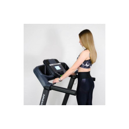 Беговая дорожка Schwinn 510T 100811