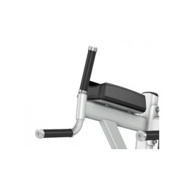 Подъем коленей\брусья Precor DBR702