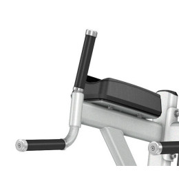 Подъем коленей\брусья Precor DBR702